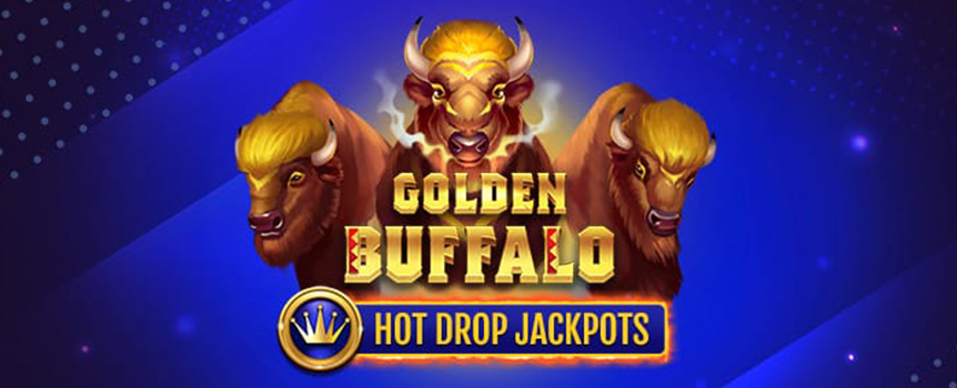 The Golden Buffalo slot machine is six reels and four lines of pokie action. 