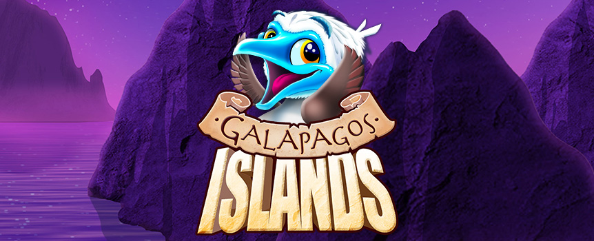 Take a Trip to the Mighty Galapagos Islands where you’ll find Prehistoric Creatures, Free Spins and Prizes up to 800x your stake! Play today.